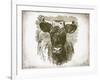 Cow Face I-Gwendolyn Babbitt-Framed Art Print