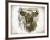 Cow Face I-Gwendolyn Babbitt-Framed Art Print