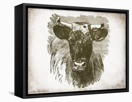 Cow Face I-Gwendolyn Babbitt-Framed Stretched Canvas