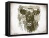 Cow Face I-Gwendolyn Babbitt-Framed Stretched Canvas