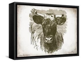 Cow Face I-Gwendolyn Babbitt-Framed Stretched Canvas