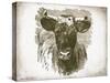 Cow Face I-Gwendolyn Babbitt-Stretched Canvas