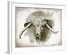 Cow Face II-Gwendolyn Babbitt-Framed Art Print