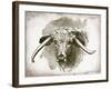 Cow Face II-Gwendolyn Babbitt-Framed Art Print