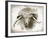 Cow Face II-Gwendolyn Babbitt-Framed Art Print