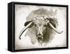 Cow Face II-Gwendolyn Babbitt-Framed Stretched Canvas