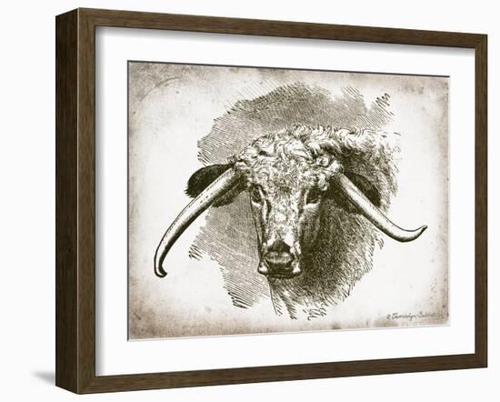 Cow Face II-Gwendolyn Babbitt-Framed Art Print