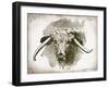 Cow Face II-Gwendolyn Babbitt-Framed Art Print