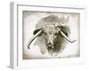 Cow Face II-Gwendolyn Babbitt-Framed Art Print