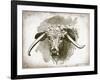 Cow Face II-Gwendolyn Babbitt-Framed Art Print