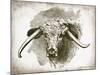 Cow Face II-Gwendolyn Babbitt-Mounted Art Print