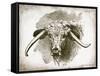 Cow Face II-Gwendolyn Babbitt-Framed Stretched Canvas