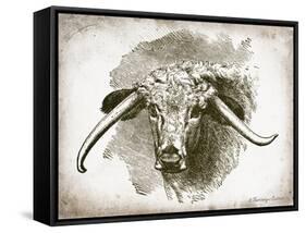 Cow Face II-Gwendolyn Babbitt-Framed Stretched Canvas