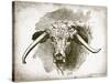 Cow Face II-Gwendolyn Babbitt-Stretched Canvas