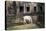 Cow Grazing by Preah Khan Temple, Angkor Wat Temple Complex, Siem Reap, Cambodia, Indochina-Stephen Studd-Stretched Canvas