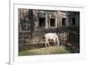 Cow Grazing by Preah Khan Temple, Angkor Wat Temple Complex, Siem Reap, Cambodia, Indochina-Stephen Studd-Framed Photographic Print