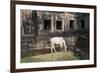 Cow Grazing by Preah Khan Temple, Angkor Wat Temple Complex, Siem Reap, Cambodia, Indochina-Stephen Studd-Framed Photographic Print