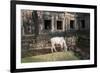 Cow Grazing by Preah Khan Temple, Angkor Wat Temple Complex, Siem Reap, Cambodia, Indochina-Stephen Studd-Framed Photographic Print