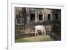 Cow Grazing by Preah Khan Temple, Angkor Wat Temple Complex, Siem Reap, Cambodia, Indochina-Stephen Studd-Framed Photographic Print