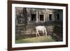 Cow Grazing by Preah Khan Temple, Angkor Wat Temple Complex, Siem Reap, Cambodia, Indochina-Stephen Studd-Framed Photographic Print