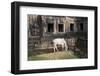 Cow Grazing by Preah Khan Temple, Angkor Wat Temple Complex, Siem Reap, Cambodia, Indochina-Stephen Studd-Framed Photographic Print