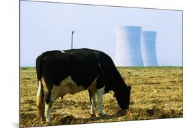 Cow Grazing in Front of Three Mile Island Power Plant-null-Mounted Premium Photographic Print