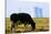 Cow Grazing in Front of Three Mile Island Power Plant-null-Stretched Canvas