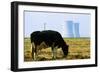 Cow Grazing in Front of Three Mile Island Power Plant-null-Framed Photographic Print