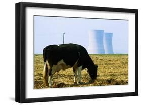 Cow Grazing in Front of Three Mile Island Power Plant-null-Framed Photographic Print