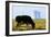 Cow Grazing in Front of Three Mile Island Power Plant-null-Framed Photographic Print