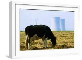 Cow Grazing in Front of Three Mile Island Power Plant-null-Framed Photographic Print