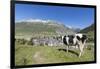 Cow grazing in the green pastures surrounding the alpine village of Andermatt, Canton of Uri, Switz-Roberto Moiola-Framed Photographic Print
