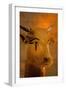 Cow Head Sculpture, Kv35; Amenhotep Ii, 2009 (Photo)-Kenneth Garrett-Framed Giclee Print