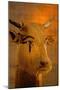 Cow Head Sculpture, Kv35; Amenhotep Ii, 2009 (Photo)-Kenneth Garrett-Mounted Giclee Print
