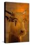 Cow Head Sculpture, Kv35; Amenhotep Ii, 2009 (Photo)-Kenneth Garrett-Stretched Canvas