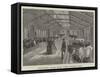 Cow-House, Royal Dairy Farm, Windsor Park-null-Framed Stretched Canvas