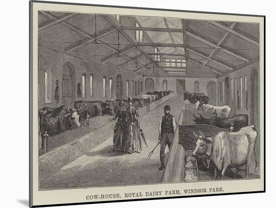 Cow-House, Royal Dairy Farm, Windsor Park-null-Mounted Giclee Print