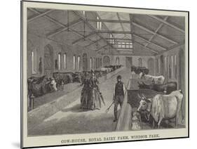 Cow-House, Royal Dairy Farm, Windsor Park-null-Mounted Giclee Print