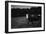 Cow in a Field-Clive Nolan-Framed Photographic Print