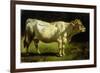 Cow in a Landscape-Friedrich Johann Voltz-Framed Giclee Print