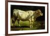 Cow in a Landscape-Friedrich Johann Voltz-Framed Giclee Print