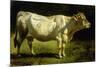 Cow in a Landscape-Friedrich Johann Voltz-Mounted Giclee Print