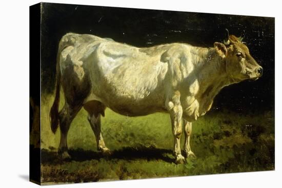 Cow in a Landscape-Friedrich Johann Voltz-Stretched Canvas