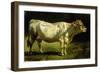 Cow in a Landscape-Friedrich Johann Voltz-Framed Giclee Print