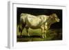 Cow in a Landscape-Friedrich Johann Voltz-Framed Giclee Print