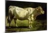 Cow in a Landscape-Friedrich Johann Voltz-Mounted Giclee Print