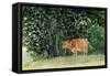 Cow in Pasture, 1878-Winslow Homer-Framed Stretched Canvas