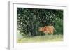 Cow in Pasture, 1878-Winslow Homer-Framed Giclee Print