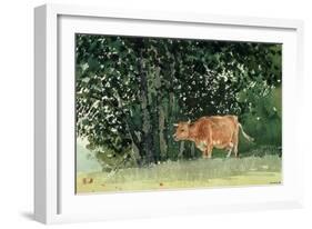 Cow in Pasture, 1878-Winslow Homer-Framed Giclee Print