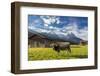 Cow in the green pastures framed by the high peaks of the Alps, Garmisch Partenkirchen, Upper Bavar-Roberto Moiola-Framed Photographic Print